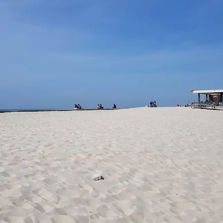 Salinas House - T3 - * Кошта-Нова